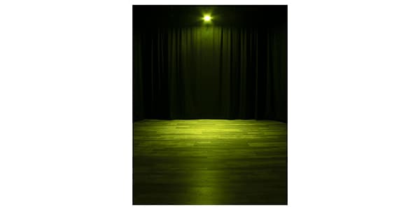 AMERICAN DJ ( アメリカンディージェイ )  / ELP12L100画像3