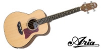 ARIA / ABM-500