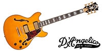 D'Angelico / Excel Mini DC Vintage Natural