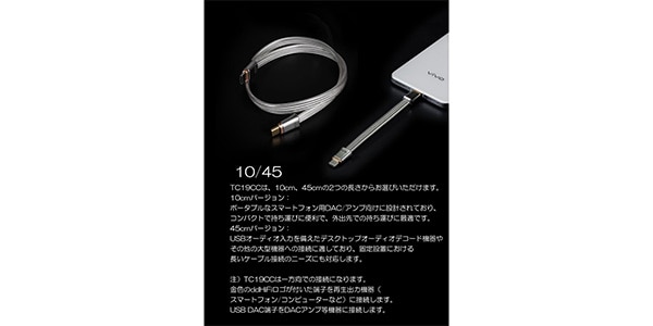 ddHiFi ( ディーディーハイファイ )  / TC19CC 10cm画像2