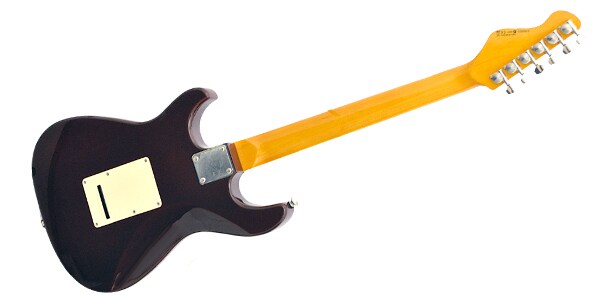 DEAN ZELINSKY ( ディーン・ゼリンスキー )  / Tagliare Custom Trans Wine画像3