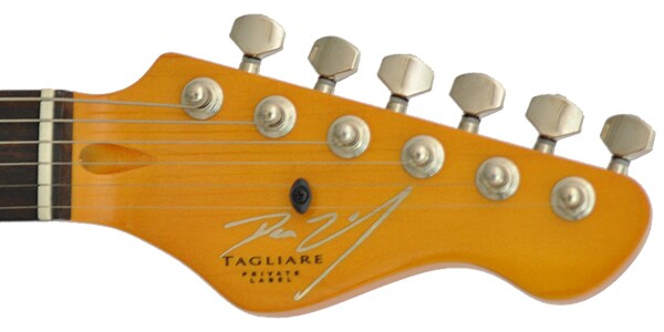 DEAN ZELINSKY ( ディーン・ゼリンスキー )  / Tagliare Custom Trans Wine画像4