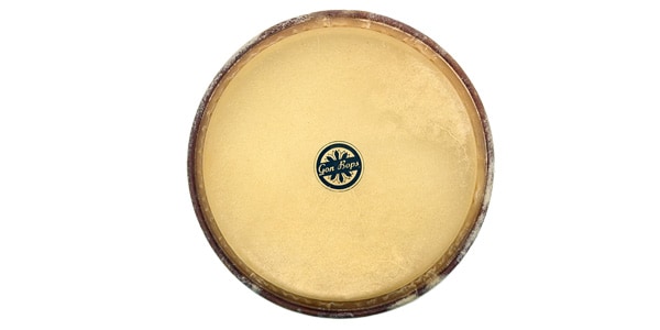 GON BOPS ( ゴンボップス )  / GON-SP2019