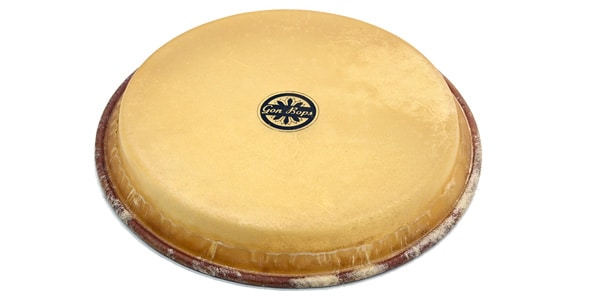 GON BOPS ( ゴンボップス )  / GON-SP2019画像2