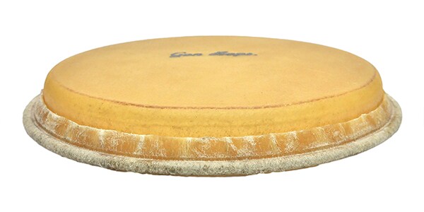 GON BOPS ( ゴンボップス )  / GON-SP2021画像3