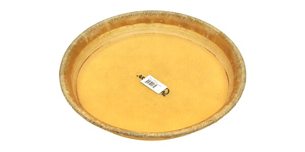 GON BOPS ( ゴンボップス )  / GON-SP2021画像4