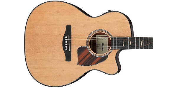 Ibanez ( アイバニーズ )  / PC34CE-NT画像4