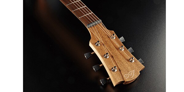 LAG GUITARS ( ラグギターズ )  / T70A-B&B アコースティックギター画像3