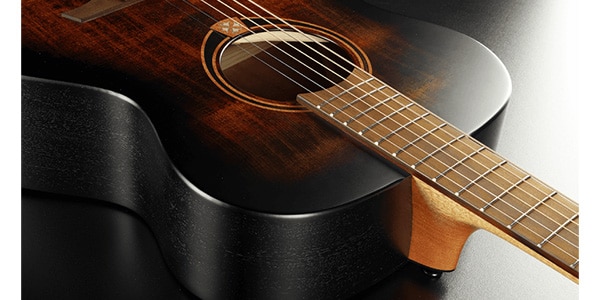 LAG GUITARS ( ラグギターズ )  / T70A-B&B アコースティックギター画像4