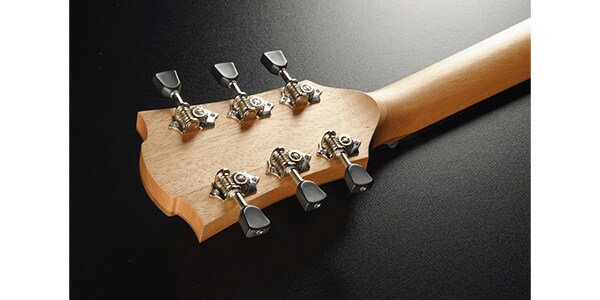 LAG GUITARS ( ラグギターズ )  / T70D-B&B アコースティックギター画像4