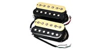 LINDY FRALIN / SUNBUCKER Set Vintage Zebra 4 Conductor