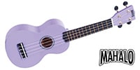 MAHALO / MR1 Rainbow Purple