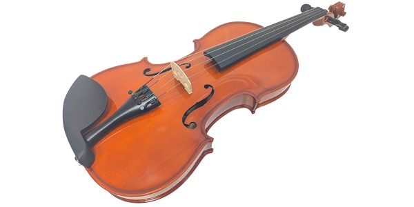 PLAYTECH ( プレイテック )  / PVA255 ビオラ 15.5インチ画像4