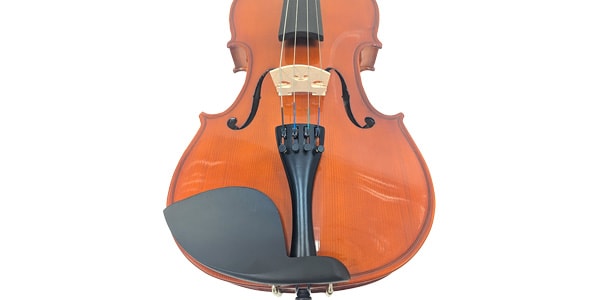 PLAYTECH ( プレイテック )  / PVA255 ビオラ 15.5インチ画像5