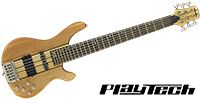 PLAYTECH / EBT-406 Natural
