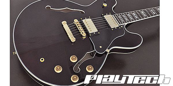 セミアコ ギター SA500 Playtech PLAYTECH ( プレイテック ) SA500 Sunburst 送料無料 | サウンドハウス