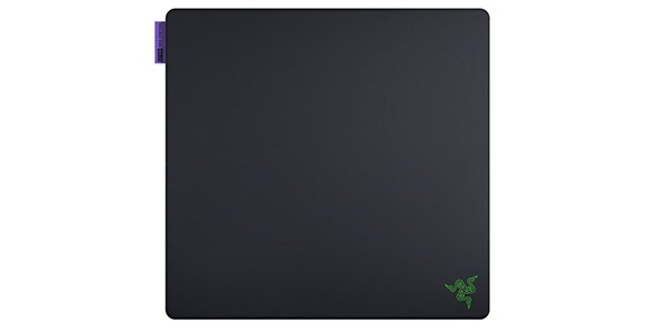 Razer ( レイザー )  / Gigantus V2 Pro L - Max Control