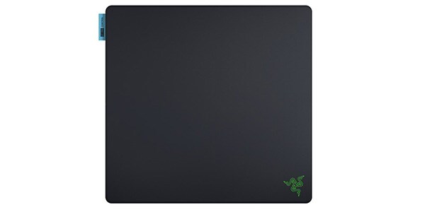 Razer ( レイザー )  / Gigantus V2 Pro L - Control