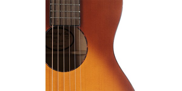 RECORDING KING ( レコーディングキング ) / RPS-JTE-TS画像3