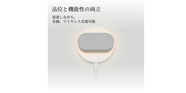 Sony ( ソニー )  / HAC1000XM6CHC ライトグレー WF-1000XM6専用ケースカバー画像4