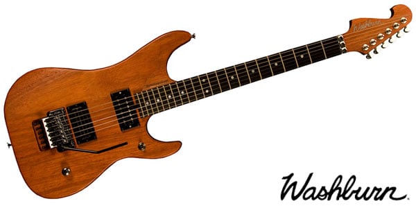 WASHBURN ( ウァッシュバーン )  / N4EPNM-D-U Natural
