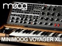 Minimoog誕生40周年を記念してデザインされた「Minimoog Voyager XL」の取扱いを開始。