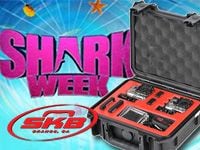 サメ・鮫・SAMEのイベント期間『シャーク・ウィーク(Shark Week)』