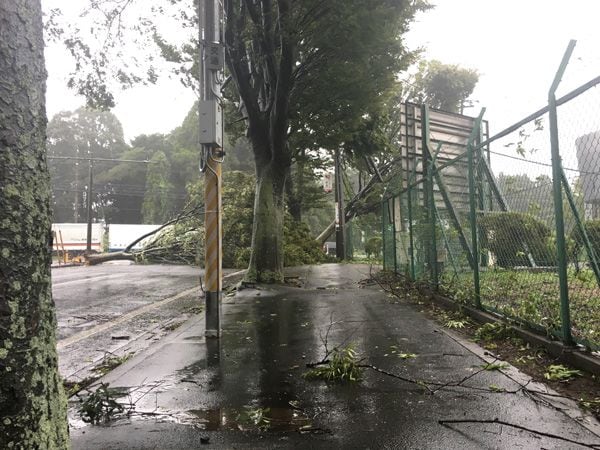 台風9号の被害による出荷の影響について