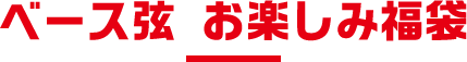 ベース弦 お楽しみ福袋