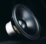 ASP8 E[n[