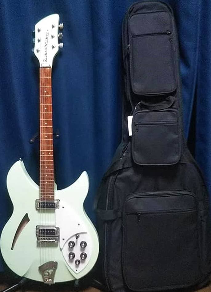 Rickenbacker用ケース探し日記 ～第1回 PLAYTECH / AG-BAG BLACKに330