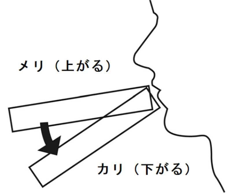 測り方 カリ高