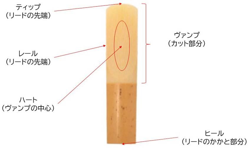 22年 クラリネット用リードのおすすめ人気ランキング5選 サウンドハウス