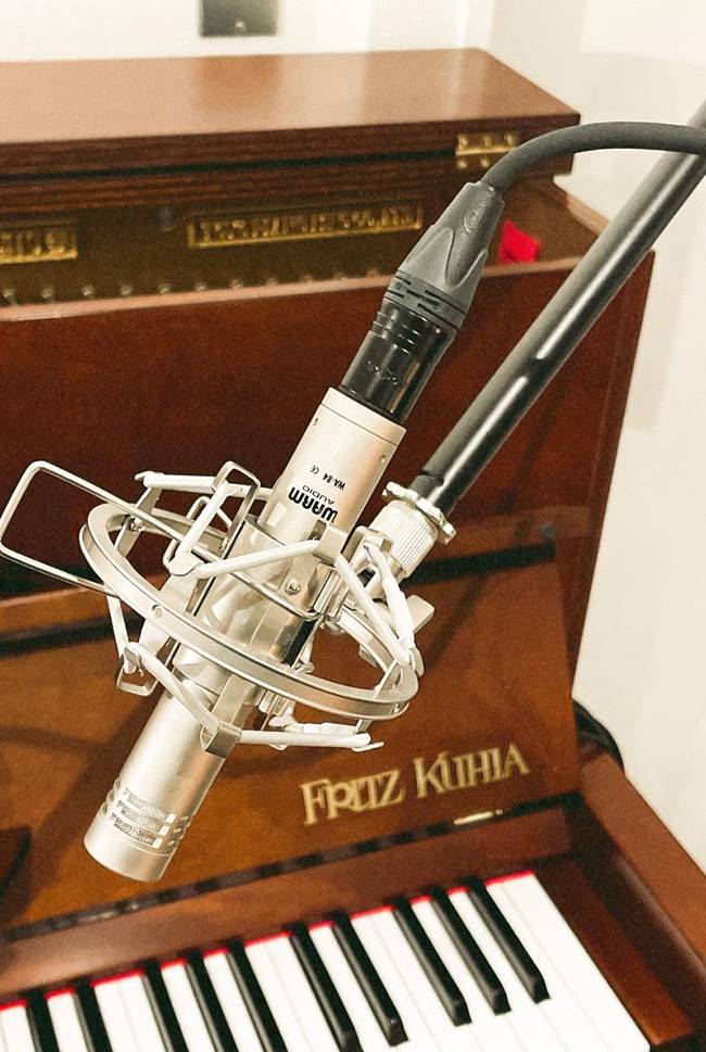 WARM AUDIO ( ウォームオーディオ ) / WA-84 STEREO PAIR NICKEL コンデンサーマイクセット