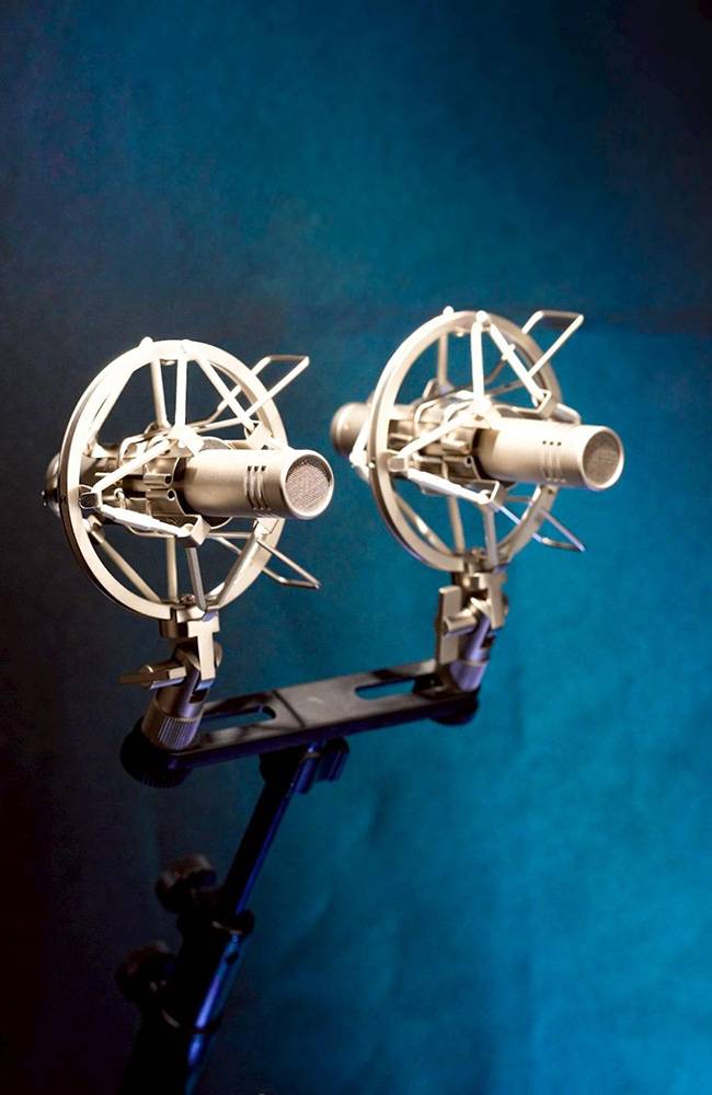 WARM AUDIO / WA-84 Premium Stereo Package