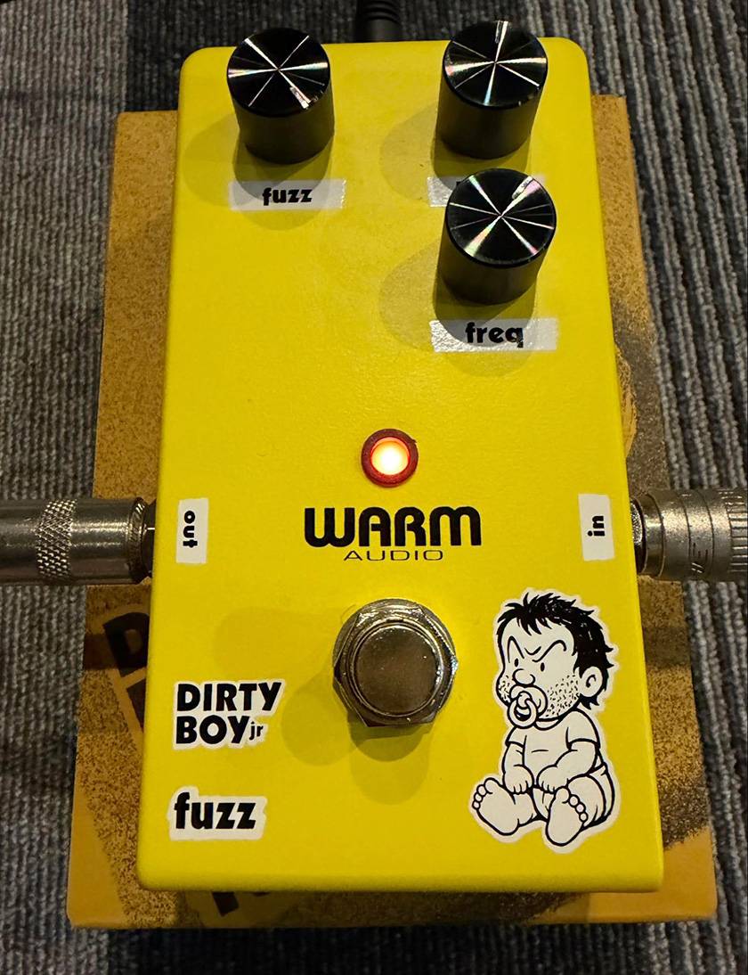 WARM AUDIO ( ウォームオーディオ ) / Dirty Boy Jr. Fuzz