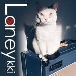 Laneyっき 6日目：ベースアンプ、やってます。