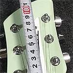 Rickenbacker用ケース探し日記 ～第1回 PLAYTECH / AG-BAG BLACKに330は入るか?～