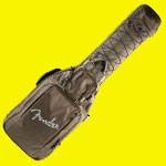 Recommended bass cases