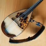 A must-see for Mandolinists who are concerned about posture when playing! How to use the ErgoPlay for mandolin and its advantages and disadvantages