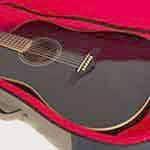 Recommended cute guitar and bass cases