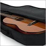 So Cheap! Special features of the Most Economical Guitar Cases - Acoustic Guitar Edition