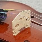 About Violin Bridges