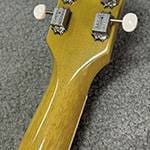 The Role of the Guitar Volute