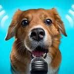 Common Music Studio Troubles: Thinking About Why the Microphone Doesn’t Produce Sound Vol. 2