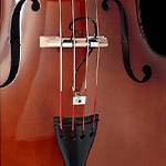 コントラバスとエレクトリックアップライトベースを徹底比較｜サウンド