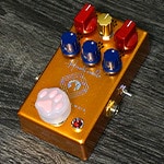Active Band Man Chats - Gears from the Perspective of a Cat Café
