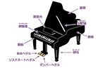 Names of the parts of the piano and keyboard