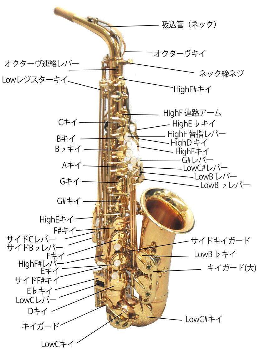 サックスとは サウンドハウス