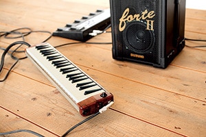 HAMMOND ( ハモンド ) PRO-44Hv2 鍵盤ハーモニカ 送料無料